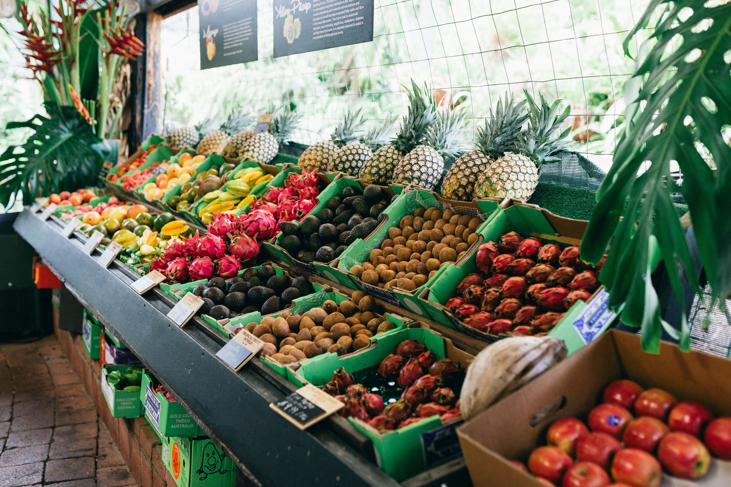 Fresh Fruit Market