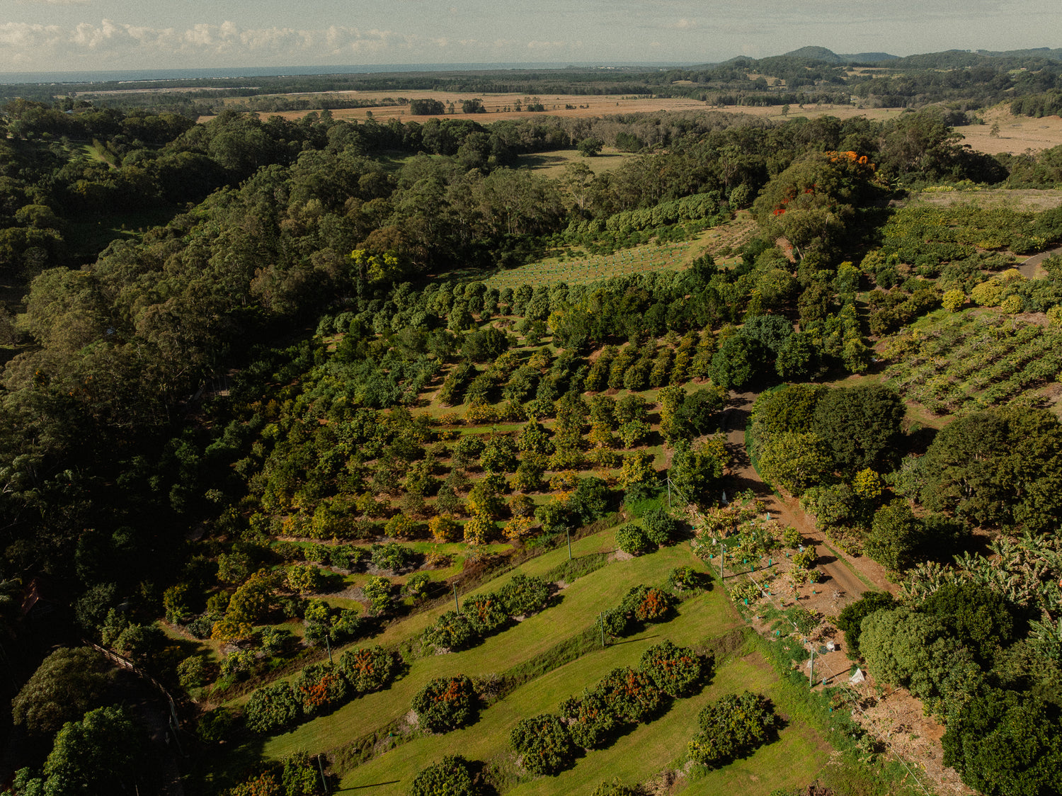 Our Commitment to Sustainability